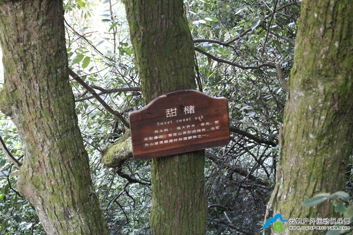 IMG_7415.jpg