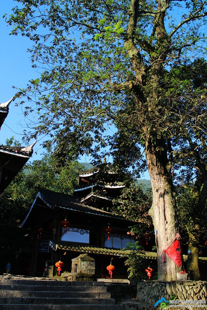 IMG_7483.jpg